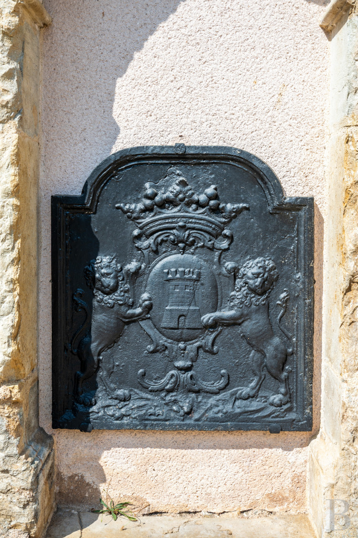Dans l’Yonne, à équidistance de Paris, Lyon et Genève, une ancienne place forte médiévale et son parc aménagés pour accueillir calmes séjours et grands événements  - photo  n°38